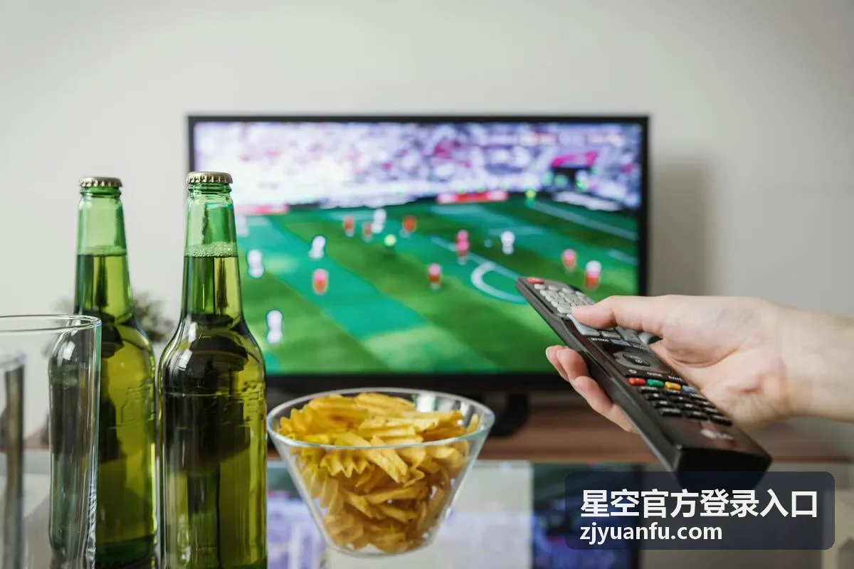 星空官方登录入口官网主入口页面封面