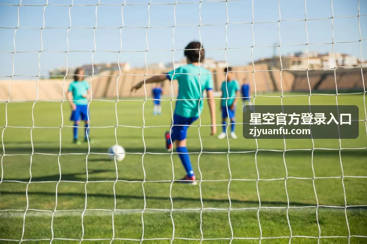 星空官方登录入口密码找回流程配图
