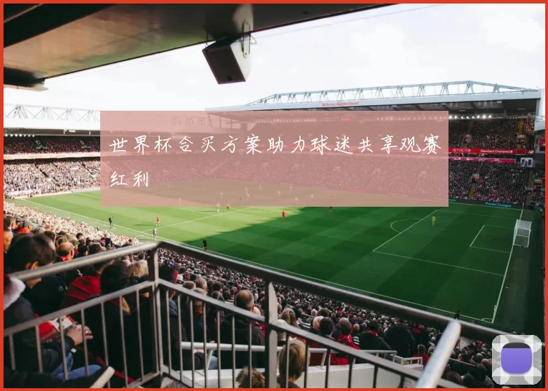 世界杯合买方案助力球迷共享观赛红利