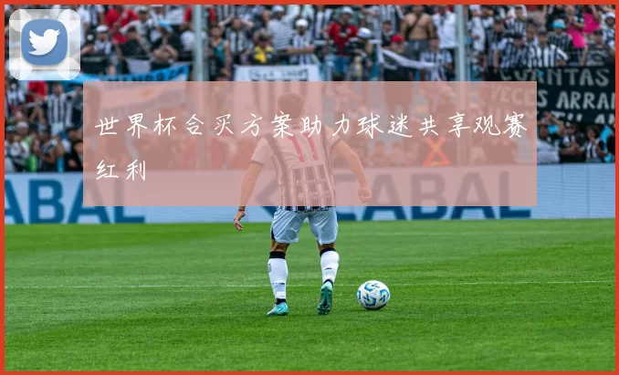 世界杯合买方案助力球迷共享观赛红利