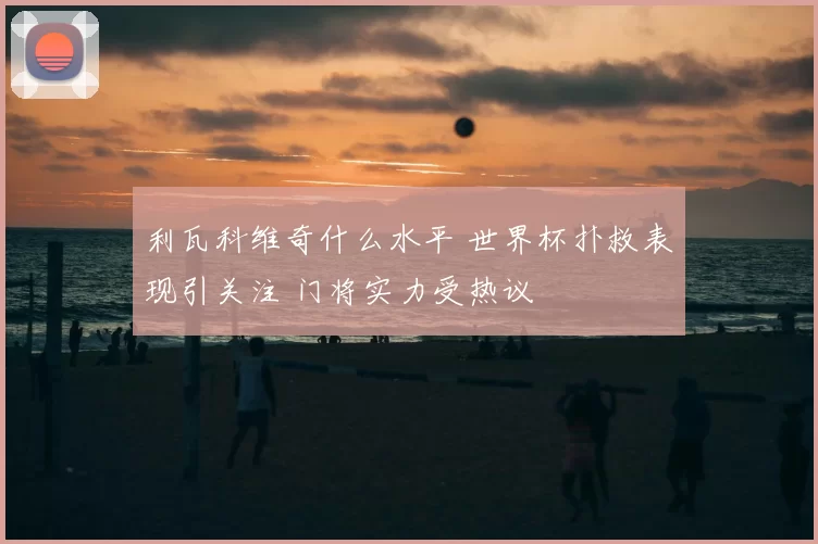 利瓦科维奇什么水平 世界杯扑救表现引关注 门将实力受热议