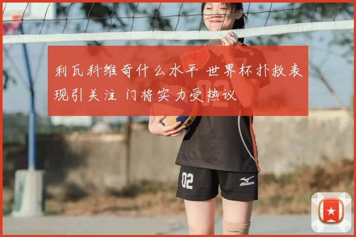 利瓦科维奇什么水平 世界杯扑救表现引关注 门将实力受热议