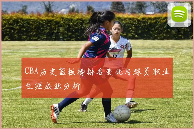 CBA历史篮板榜排名变化与球员职业生涯成就分析