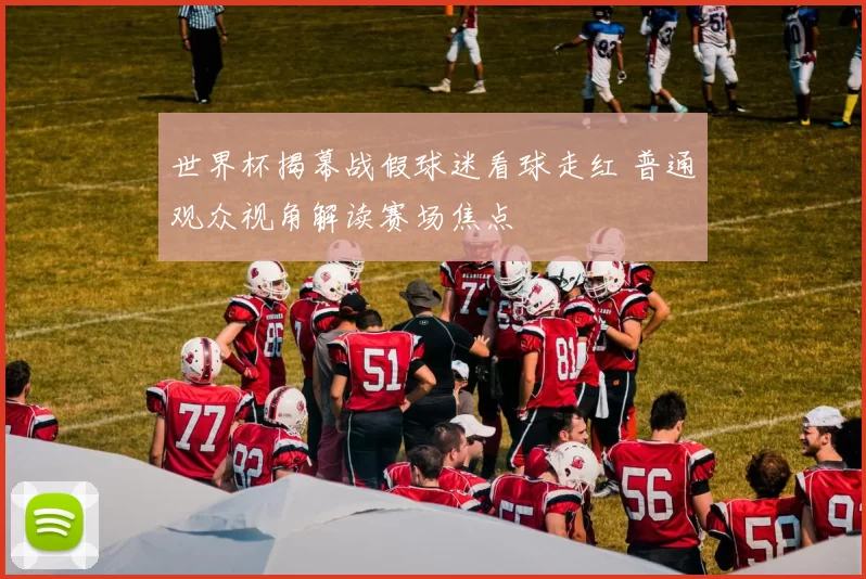 世界杯揭幕战假球迷看球走红 普通观众视角解读赛场焦点